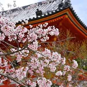 Aparthotel Sakura Gion North, Kyoto
